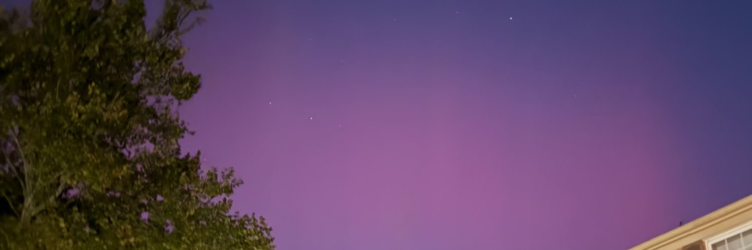 procrastinatingfan banner