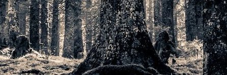 Samir_LFA's profile banner image