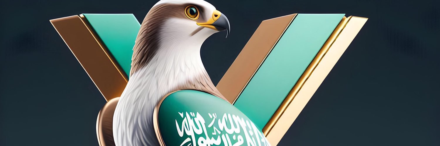 aba_asa's profile banner image