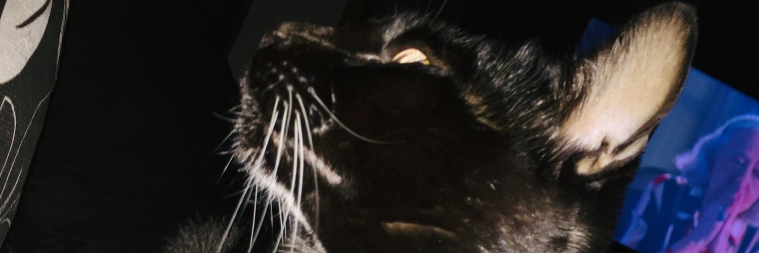 thayaryane's profile banner image