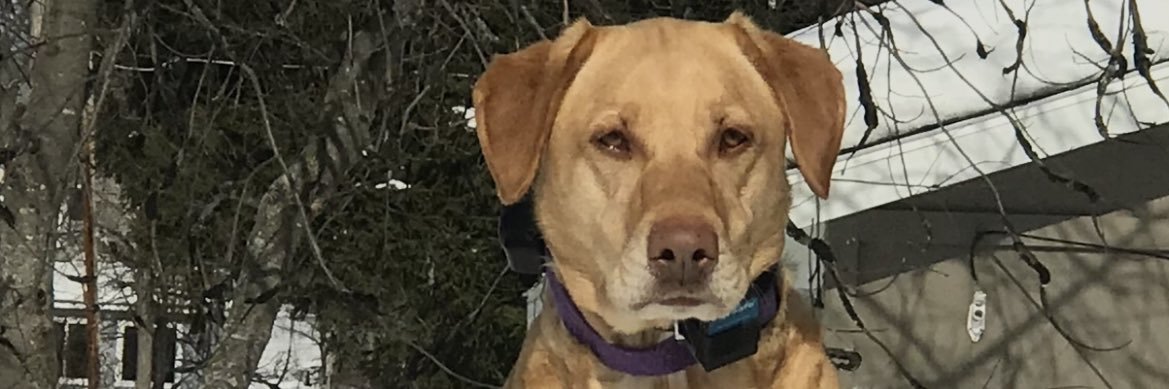 dane_mn's profile banner image