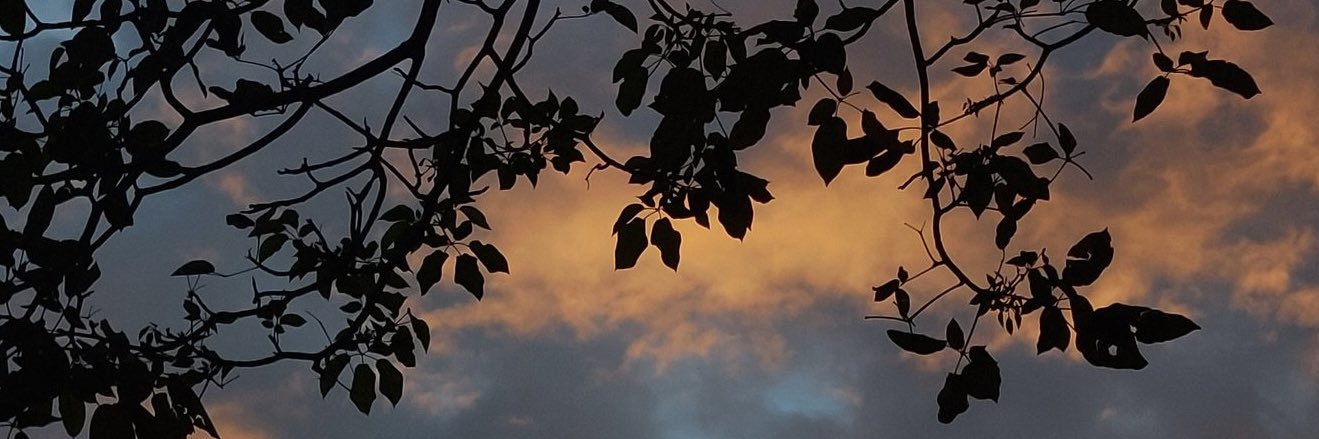 johnrojasjr's profile banner image