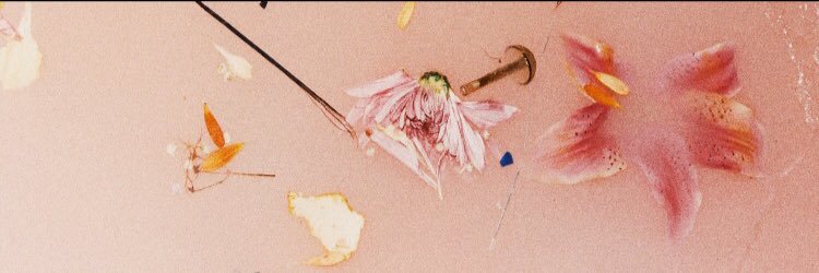 sweetonlyangel's profile banner image