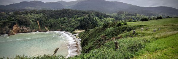 raisturies Profile Banner