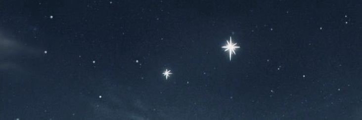 liilyofthevale's profile banner image