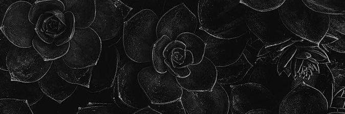 knapprachael's profile banner image
