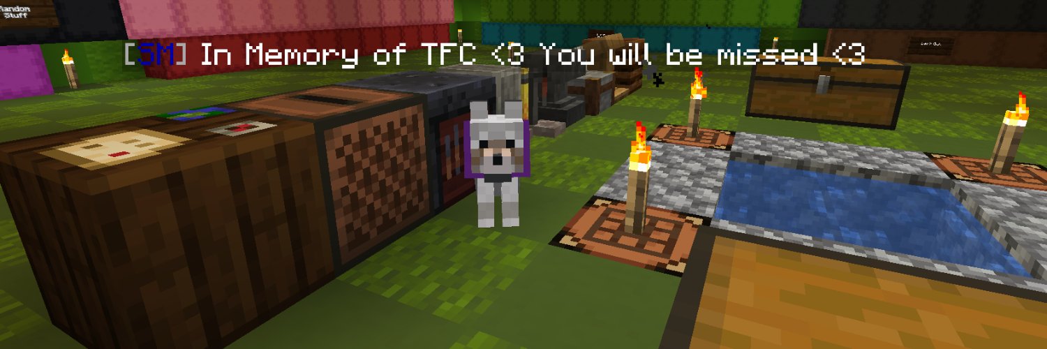 catkillkt's profile banner image