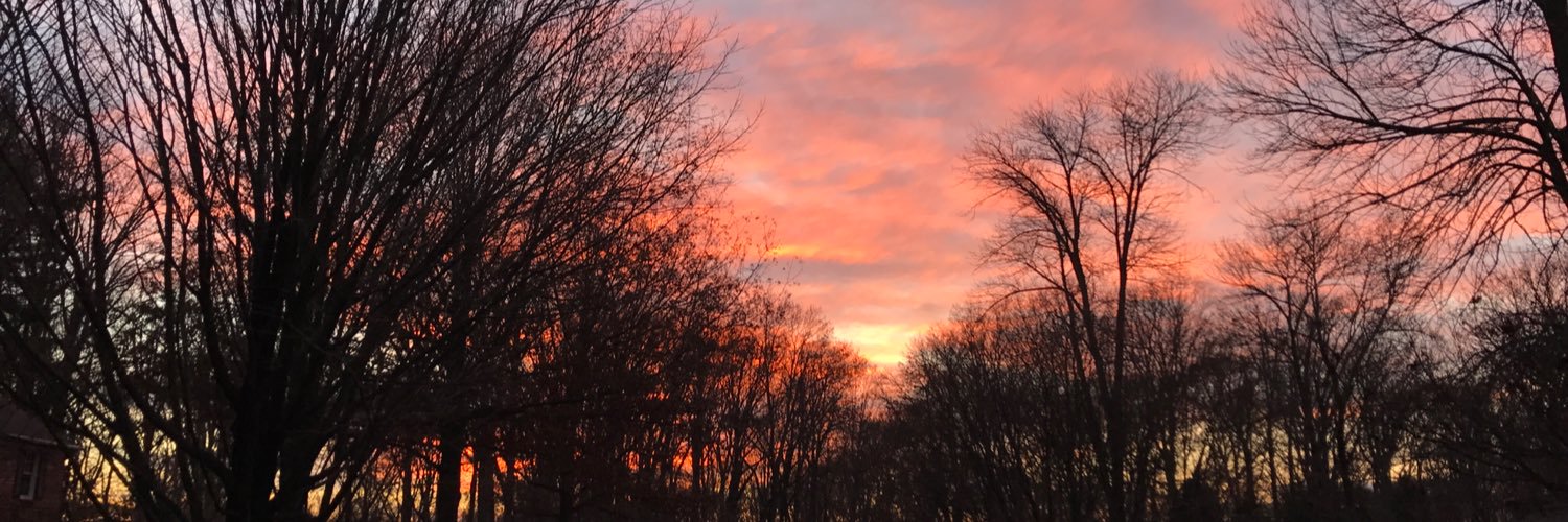 meganspiotta's profile banner image