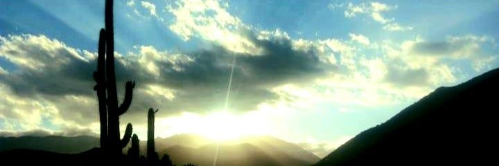 dabavidez's profile banner image