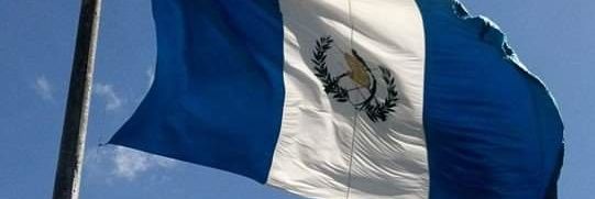 Omar Rodas's banner