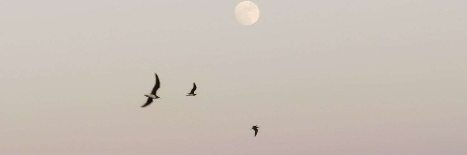 sunset071's profile banner image