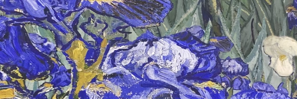 Anjum8's profile banner image