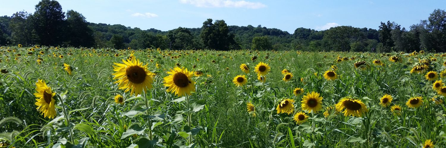 Brian - @TheNiceBrian banner