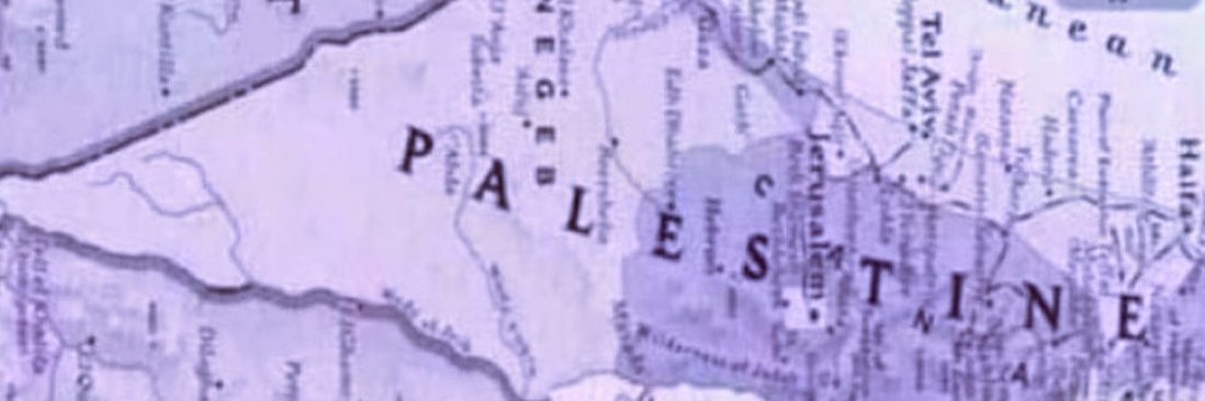 DBott69 🇵🇸 banner