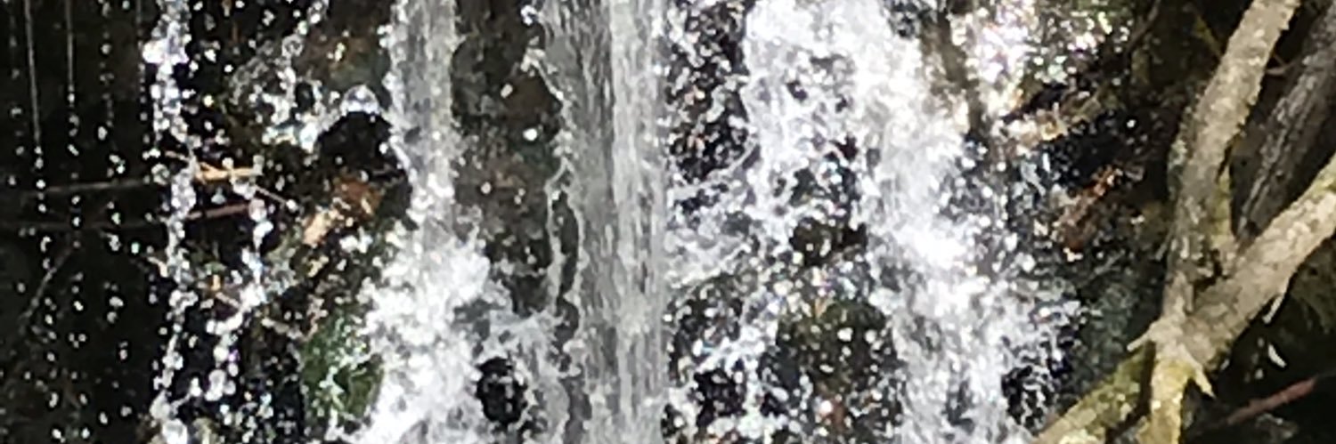 mrgourlayicms's profile banner image