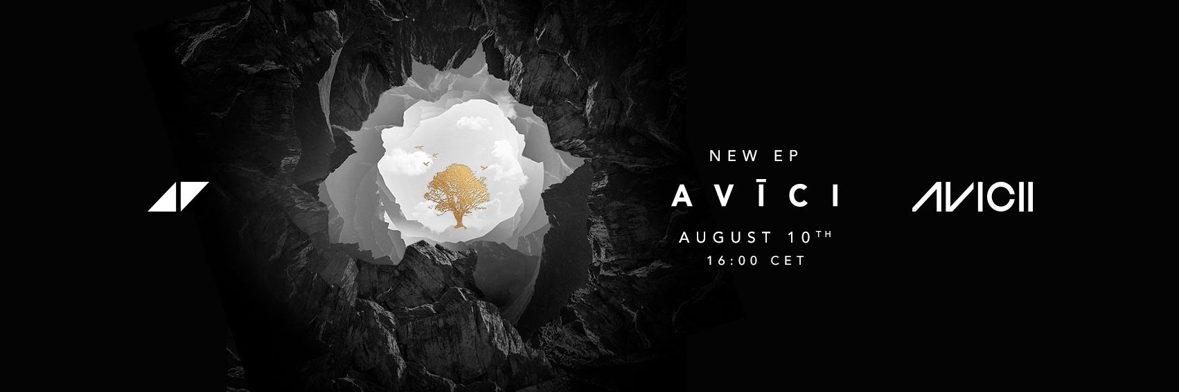 AviciiPy's profile banner image