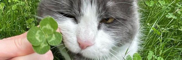 takeitjeasy3 Profile Banner