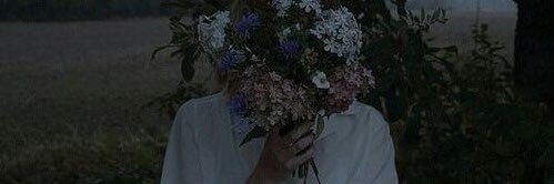 effy | edtwt banner
