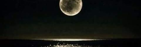 _synda's profile banner image