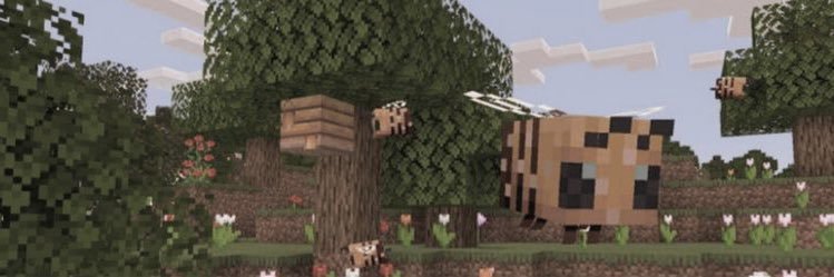 breezy_bridge's profile banner image