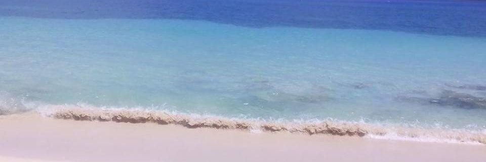 MarkentaD's profile banner image