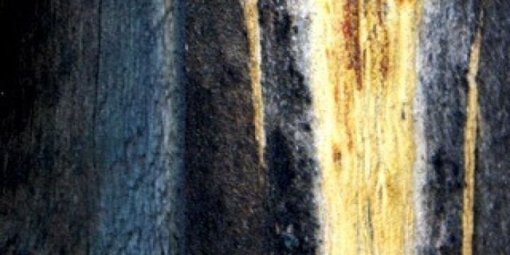 Makahuna_'s profile banner image