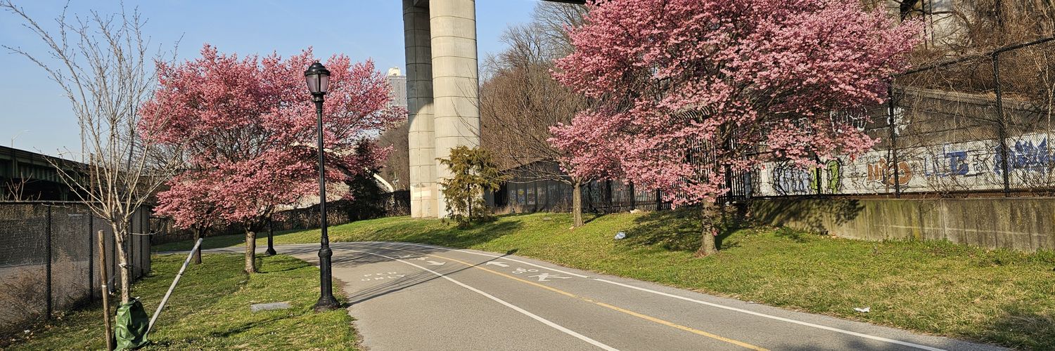 Delightful, insightful NYC walking tours! banner