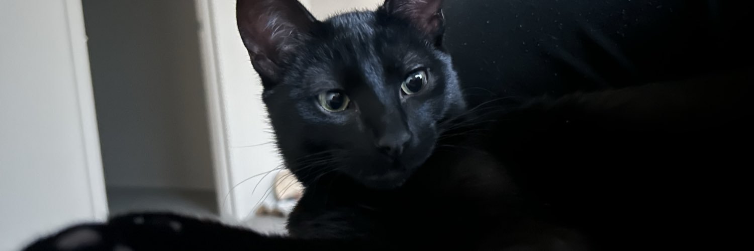 edenn_21's profile banner image