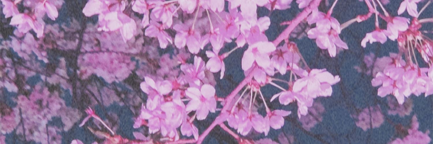 Neunma7704's profile banner image
