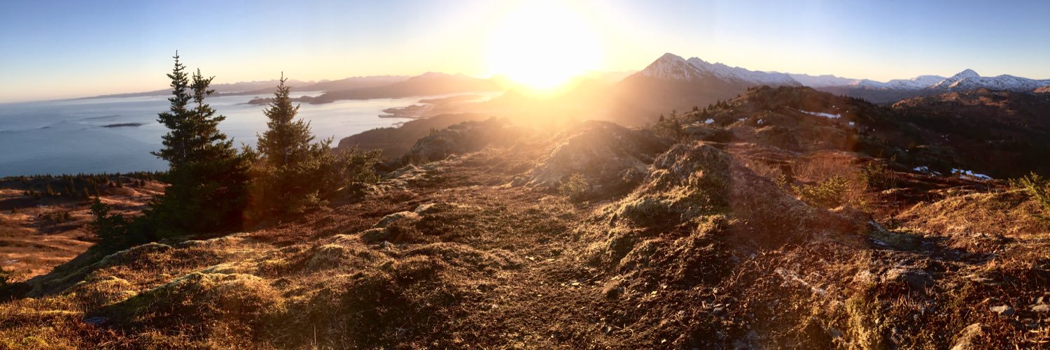 taylor__ross's profile banner image