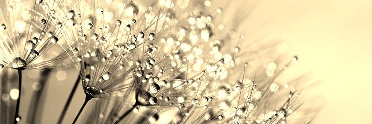 sarinac09's profile banner image