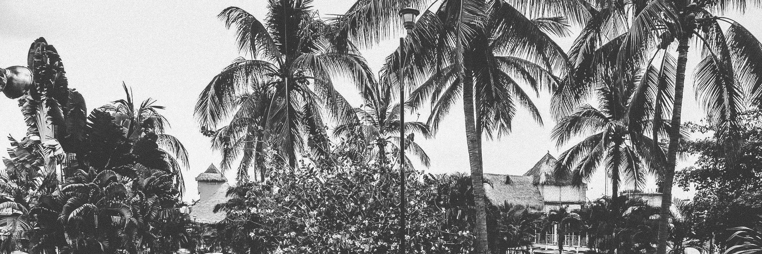 memorizebyheart's profile banner image