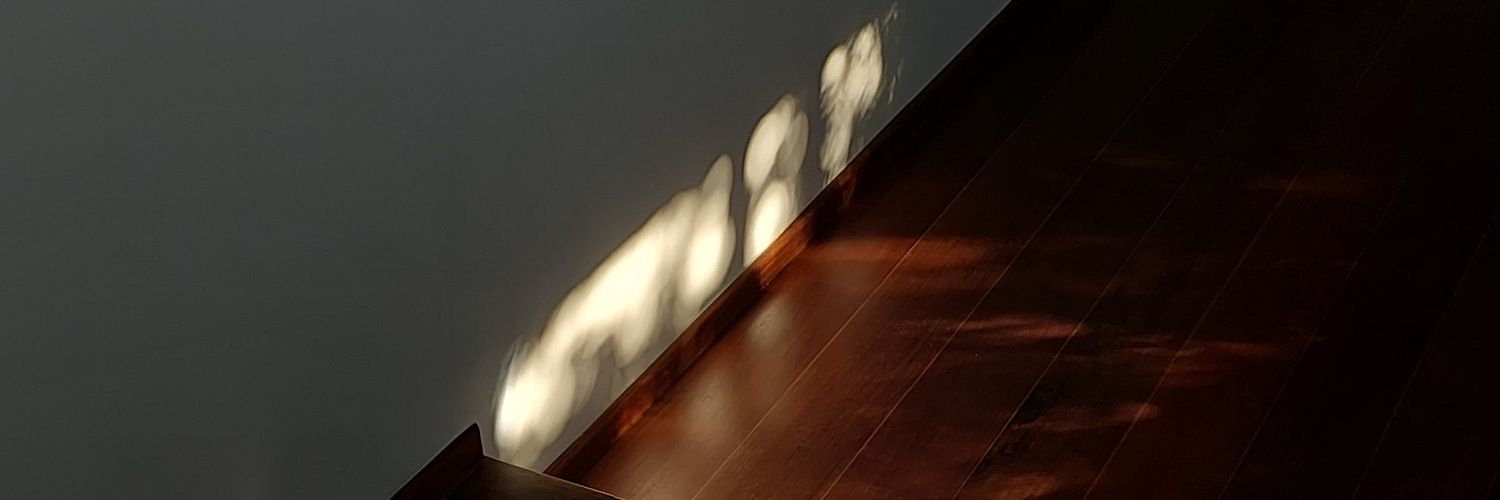 Matheus Cornetti banner
