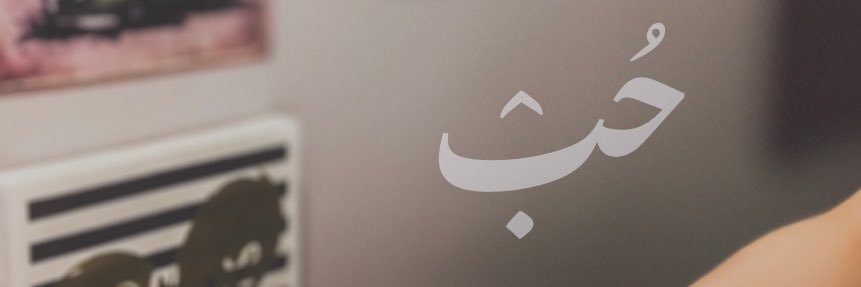 NShogair's profile banner image
