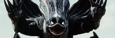 キャプテン・スワロウ banner