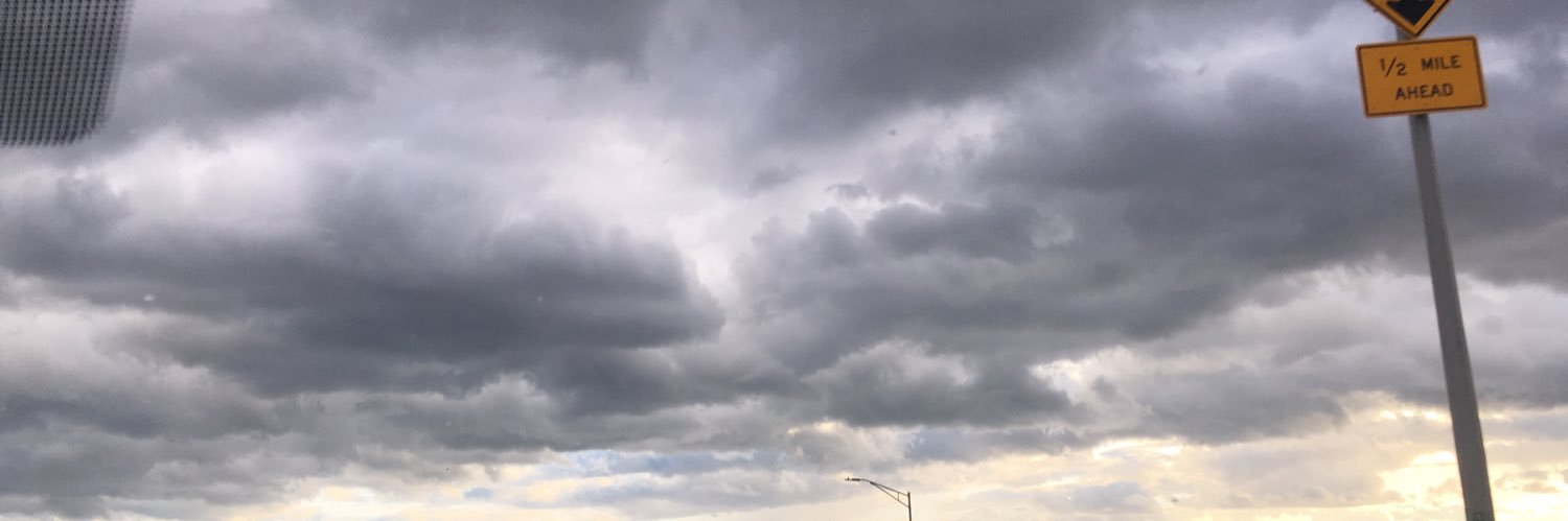 razoreliza's profile banner image