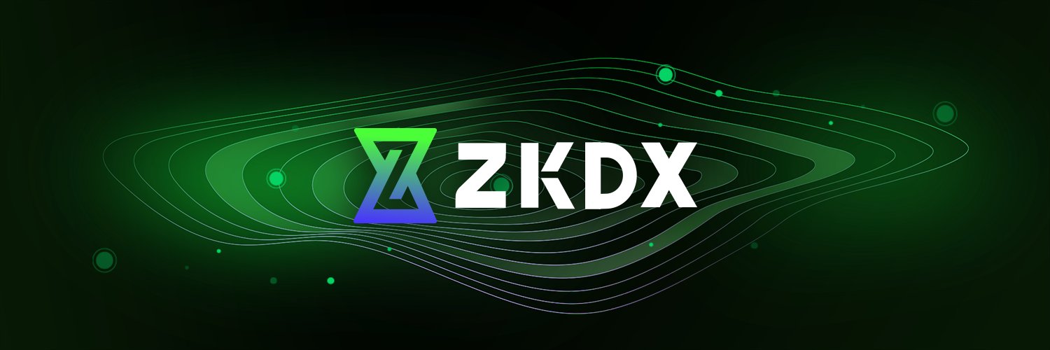zkDX | L2 Networks Profile Banner