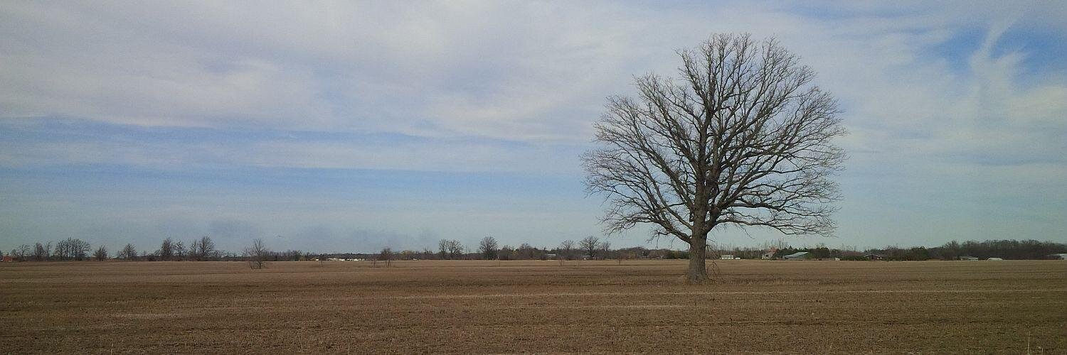 Concerned Citizen banner