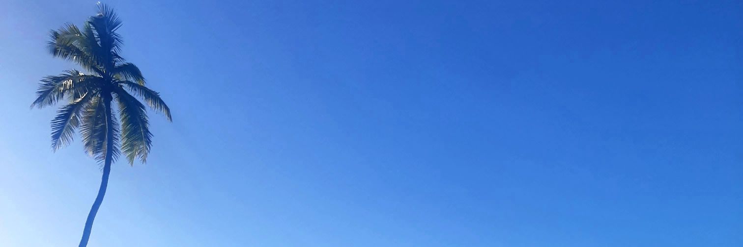 JunkySyde's profile banner image