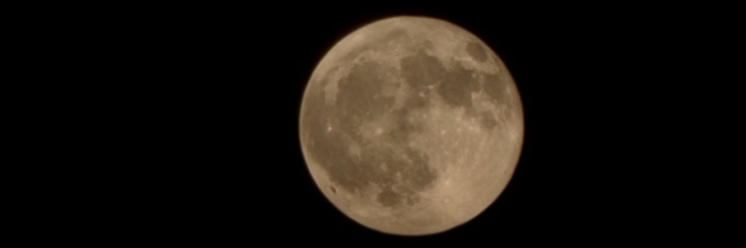 هالوپینو banner
