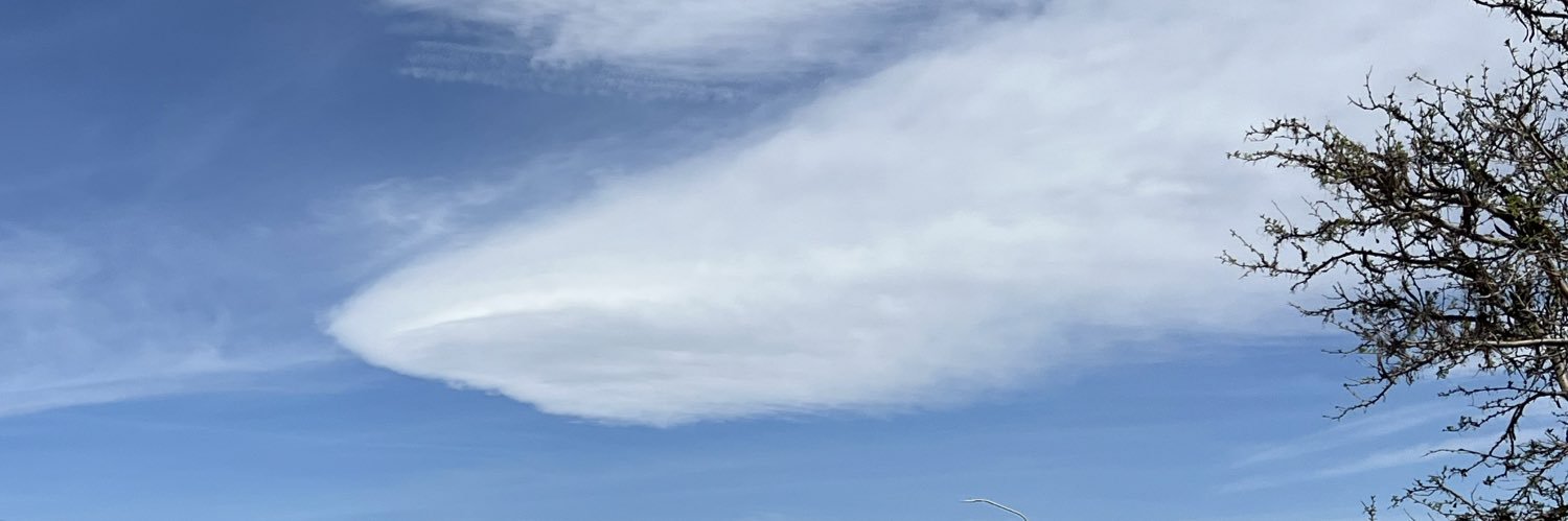 GrandastinglyHarmonious🌊🕊️🇺🇸🏄🏼‍♂️🛩️🔥 banner