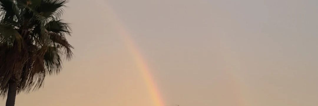 ele banner