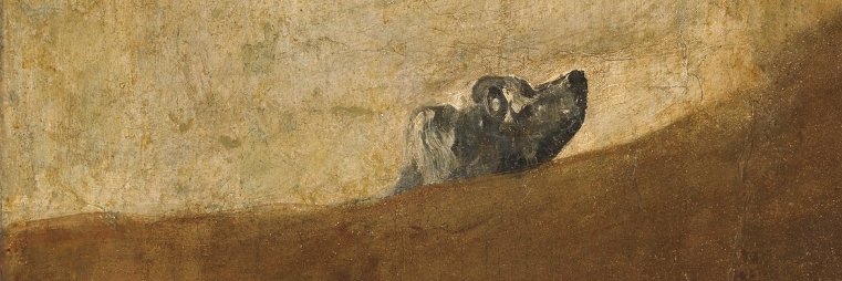 aronlevins's profile banner image