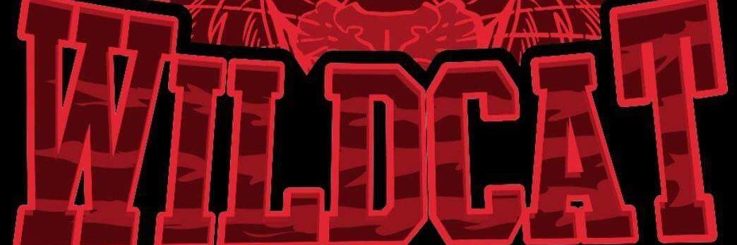 WPSportsCenter's profile banner image
