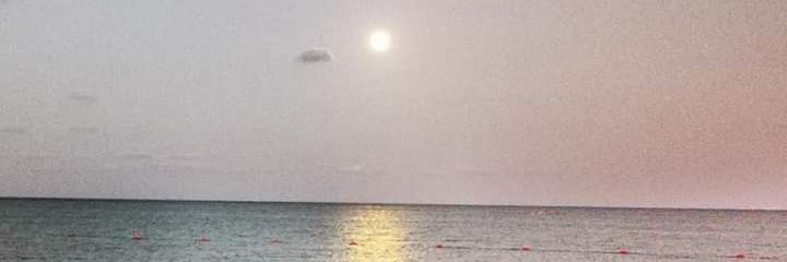 dalesave's profile banner image