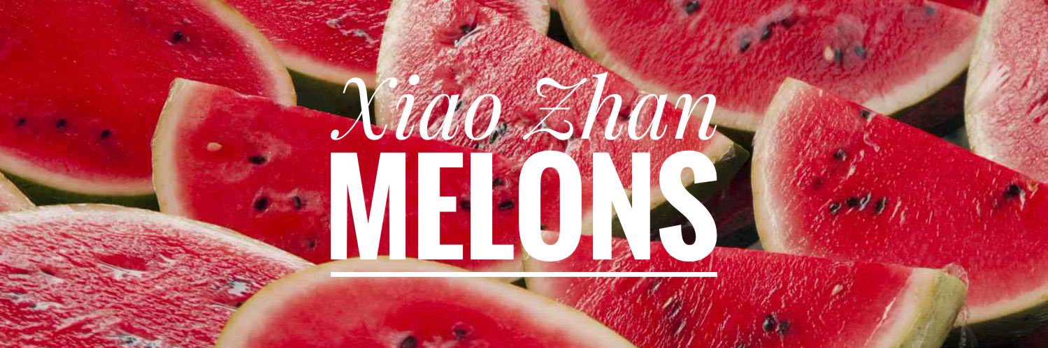 Xiao Zhan Melons🍉 的个人资料封面