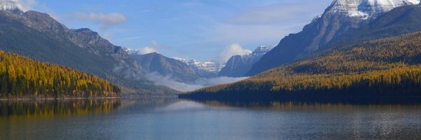 Metcalf_Lab Profile Banner