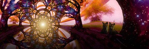 therealbfunk's profile banner image