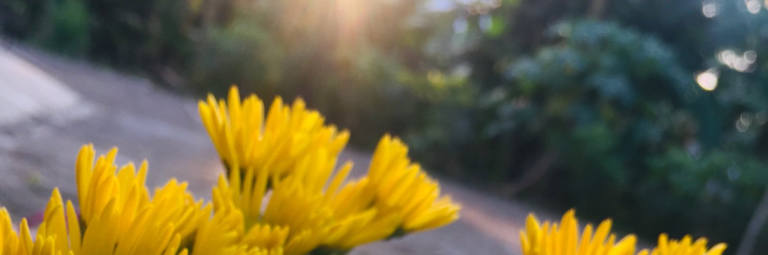 Ituls_'s profile banner image
