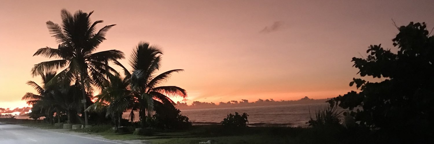 millena ramos banner